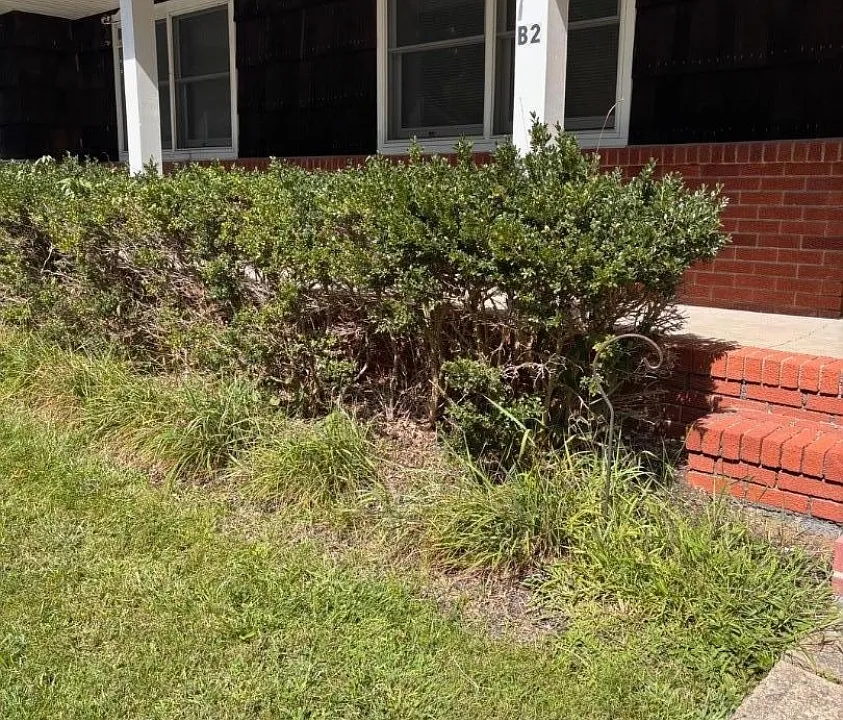 242-244 County Road 513 #B2
