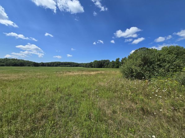 Leckrone Rd PARCEL C, Brethren, MI 49619