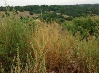 30668 S Snell Rd, Moorefield, NE 69039