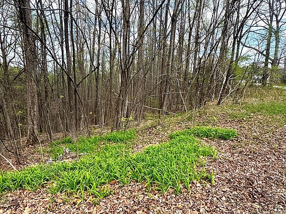 4th image of 0 Coconut Ridge Rd Lot 1 & 2