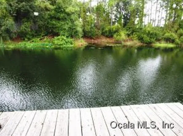 14844 NE 214th Ct, Salt Springs, FL 32134