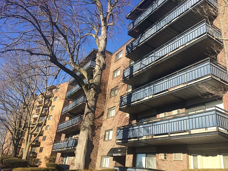 24 Whites Ave #3 — Photo 8