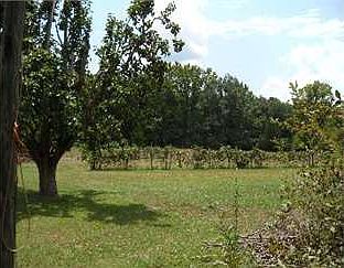 5th image of 29314 Highway 183