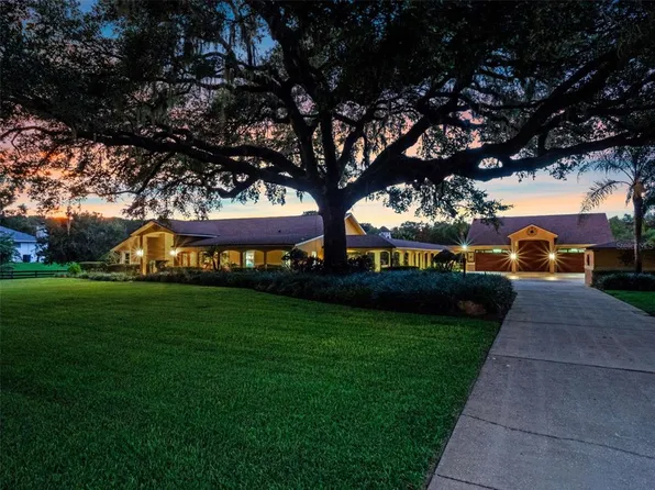 32133 Wolf Branch Ln, Sorrento, FL 32776