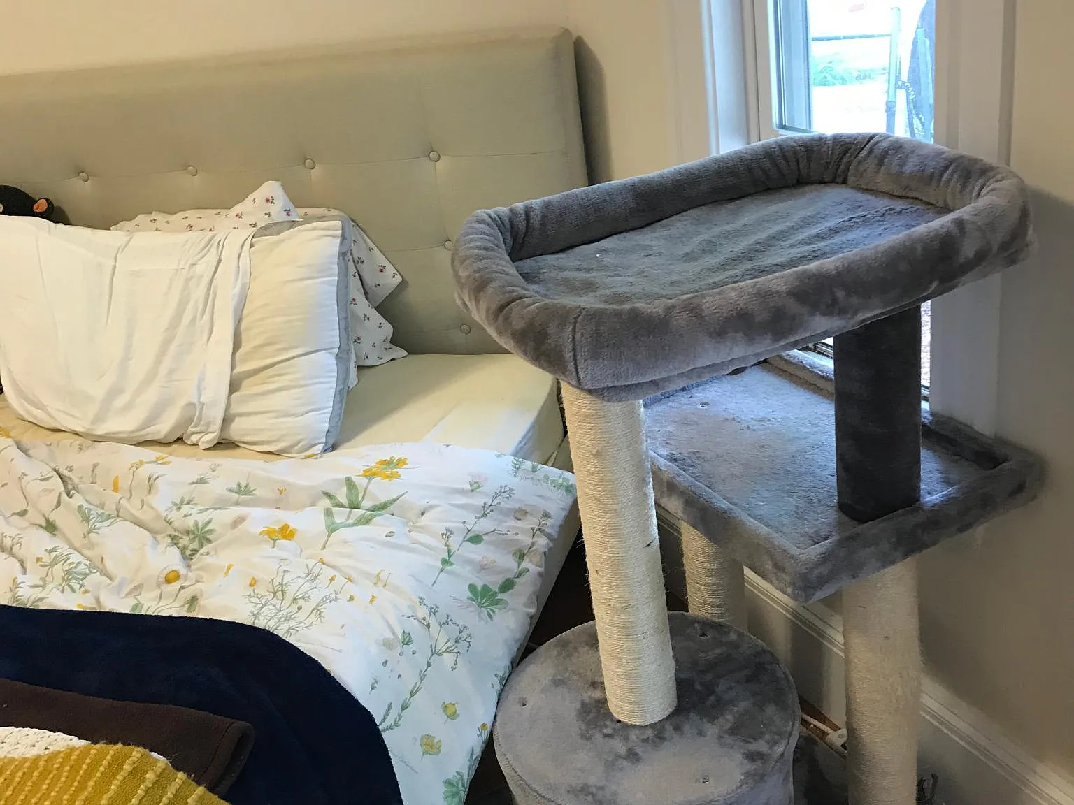 2 bed, 650 sqft, $2,800 — Photo 2