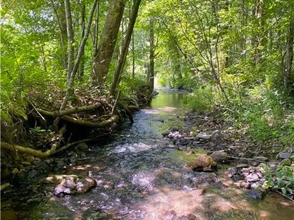 0 Highway 19 Rd N, Dahlonega, GA 30533