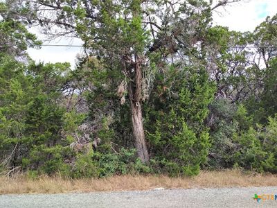 333 Eagle Rock Rd, Spring Branch, TX, 78070