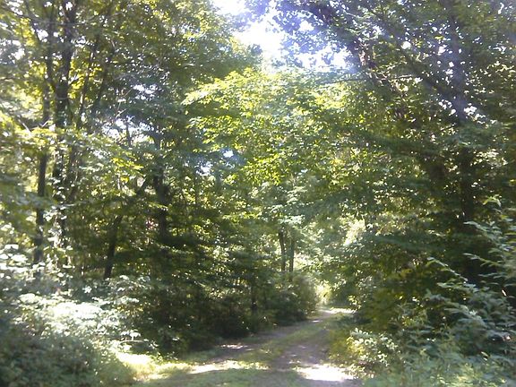 driveway going to street