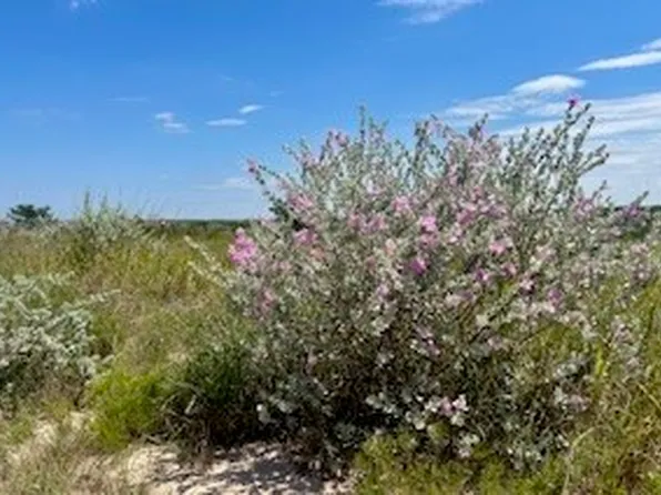 391 Hidden Creek Dr, Orange Grove, TX 78372