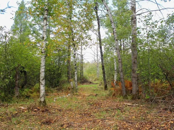 +/-17.8 Acres DIVISION DRIVE, Medford, WI 54451