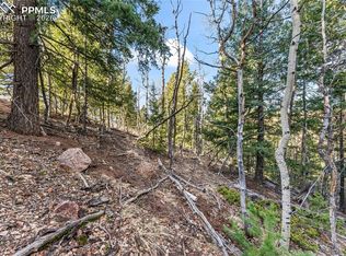 728 Little Topsey Dr, Cripple Creek, CO 80813