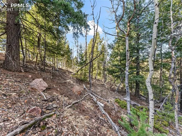 728 Little Topsey Dr, Cripple Creek, CO 80813