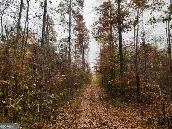 0 Brittain Rd, Douglasville, GA 30134