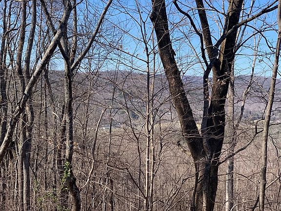 2nd image of 0 Black Oak Estates Rd Lot 50