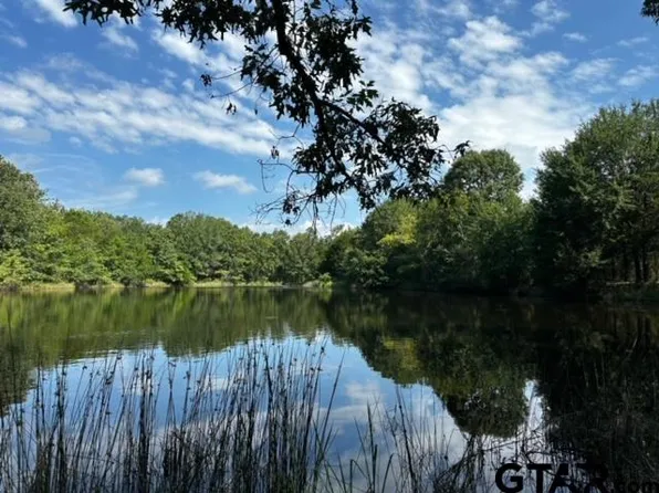 TRACT F 306 Private Rd #8507, Van, TX 75790