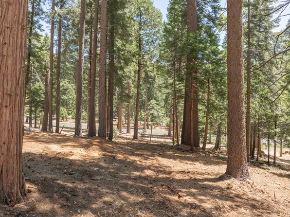 3043 Shoshone Dr, Camp Connell, CA 95223