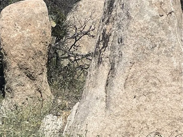 33 Sweetbush Ln Lot 2, Anza, CA 92539