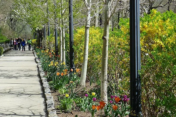 Rented by Corcoran | media 25