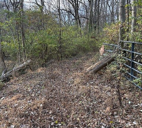 5th image of 933 Old Lebanon Dirt Rd