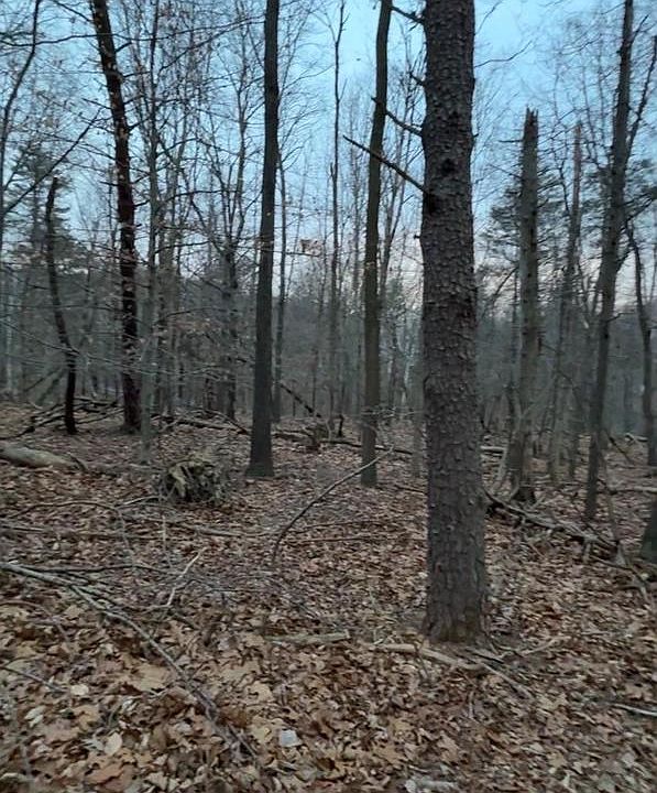 2nd image of LOT 2 Harpers Ferry Rd Parcel 240