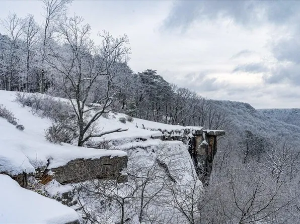 110 Falls Ln, Spencer, TN 38585