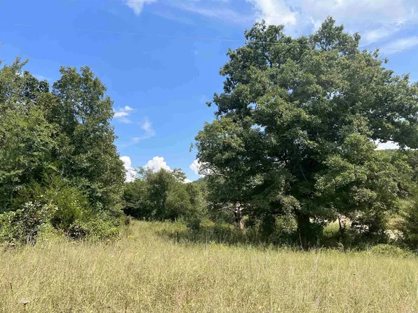 (undisclosed Address), Harrison, AR 72601