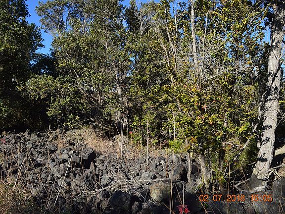 4th image of Leilani Pkwy Lot 23