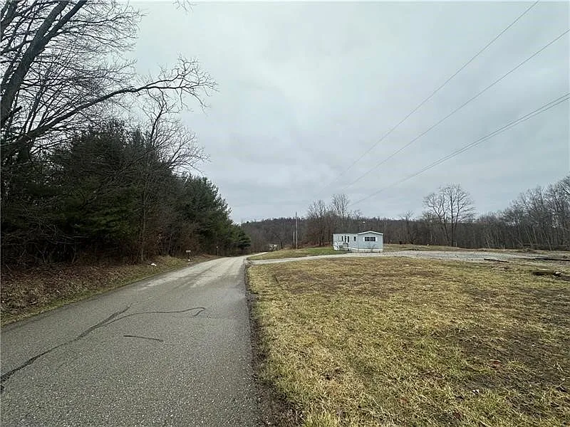 390 Snuff Ridge Rd photo 1