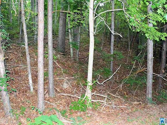 5th image of 5660 Shadow Lake Dr