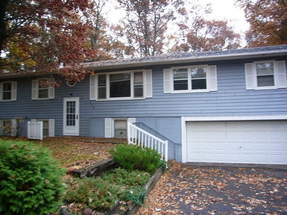 Great Wooded Yard!