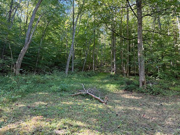 3rd image of 0 Theo Proffitt Rd