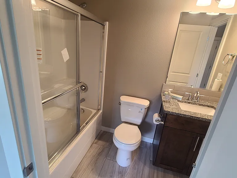 Downstairs mini master private bath