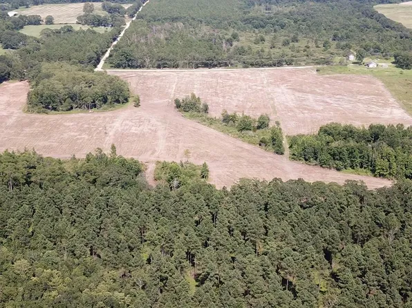 L4 New Hinson Rd, Slocomb, AL 36375