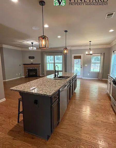 303 Cherokee Reserve Ct — Photo 9