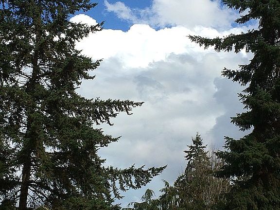 View from front yard