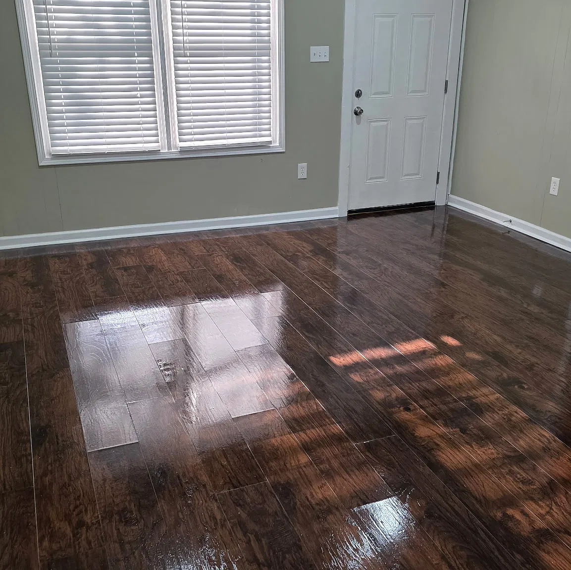 5 bed, 1600 sqft, $1,850 — Photo 3