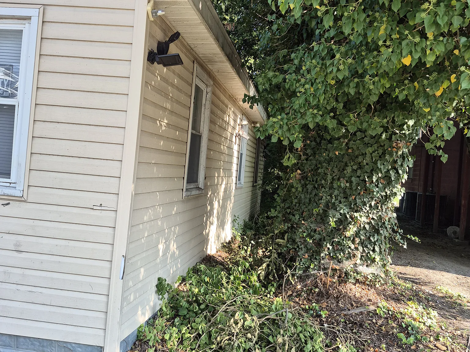 Bethel St, Cambridge — Photo 2