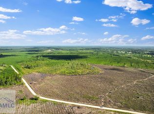 TRACT 1 Morris Break Rd, Odum, GA 31555