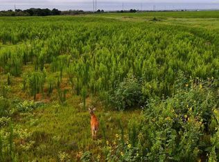 Highway 287, Quanah, TX 79252