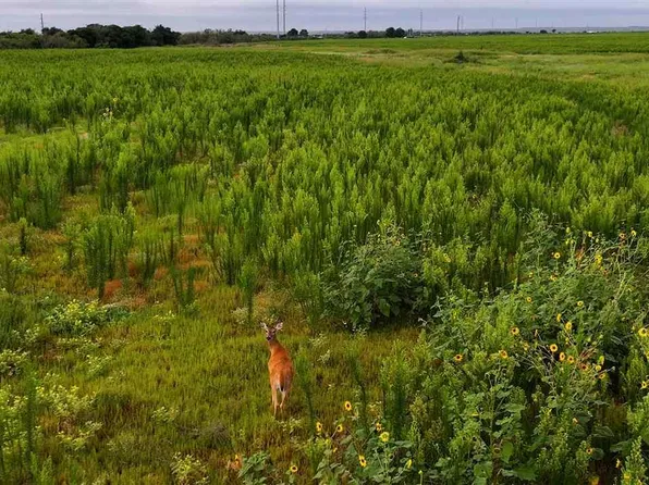 Highway 287, Quanah, TX 79252