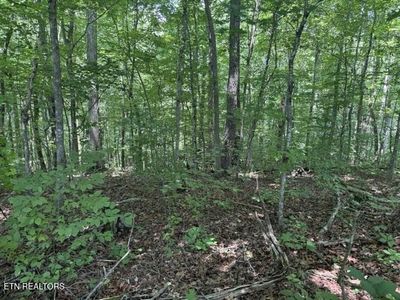 4 Hackworth Rd, Knoxville, TN, 37931