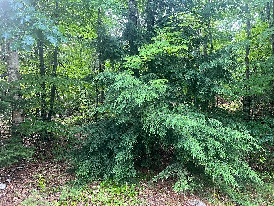 2nd image of Lot #1 Intervale Road