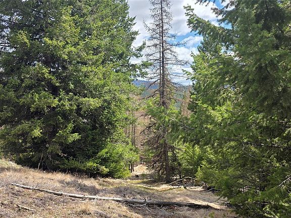 3rd image of 1112 TBD Bandtman Creek Rd