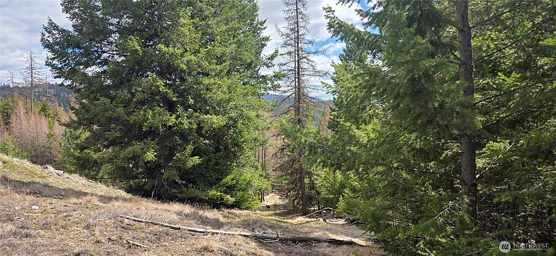 3rd image of 1112 TBD Bandtman Creek Rd
