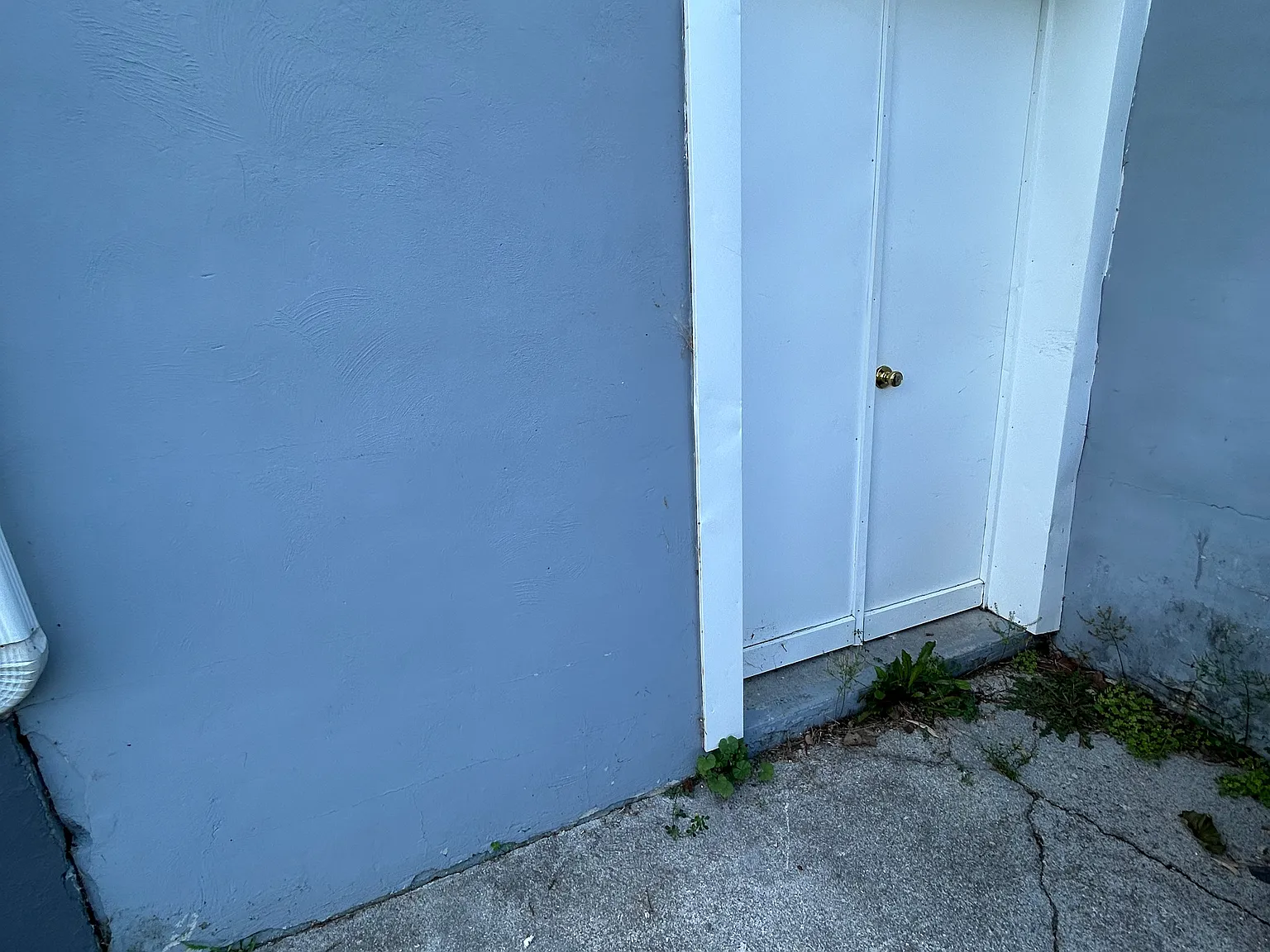 813 Patrick Henry Dr — Photo 3