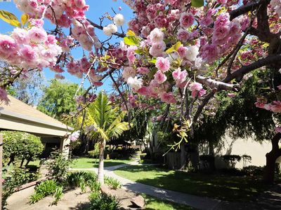 320 Auburn Way APT 25, San Jose, CA, 95129