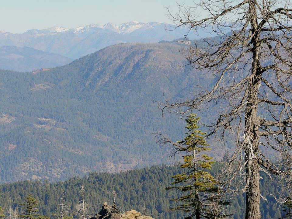 1st image of 36 Mile Route Rd #1