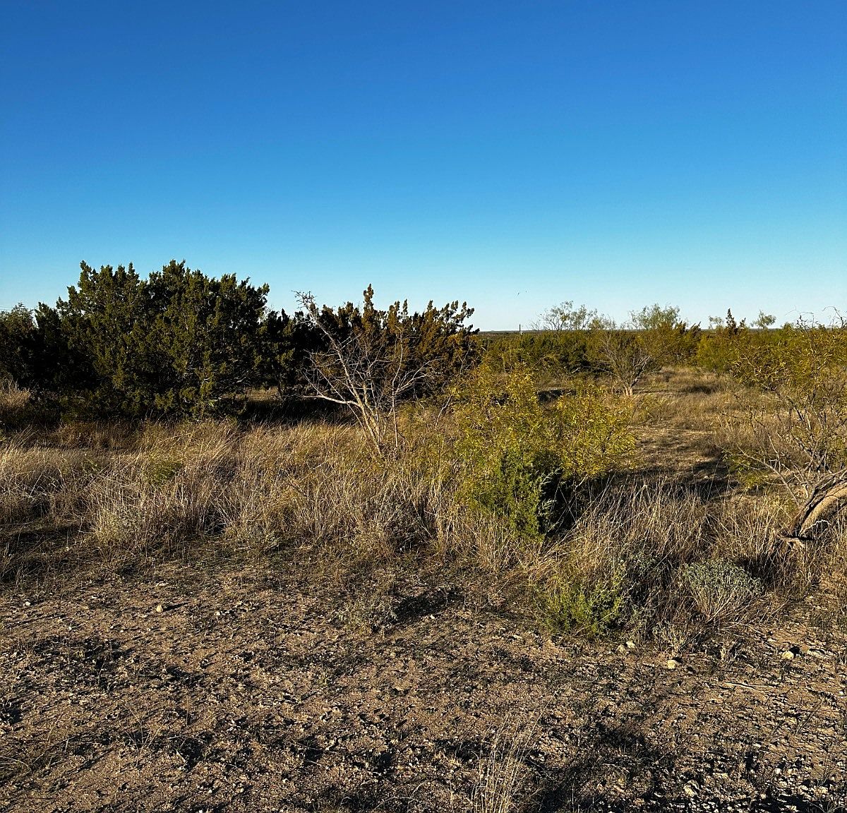 14440 Fm 1929 E, Millersview, TX 76862 MLS 11228029 Zillow