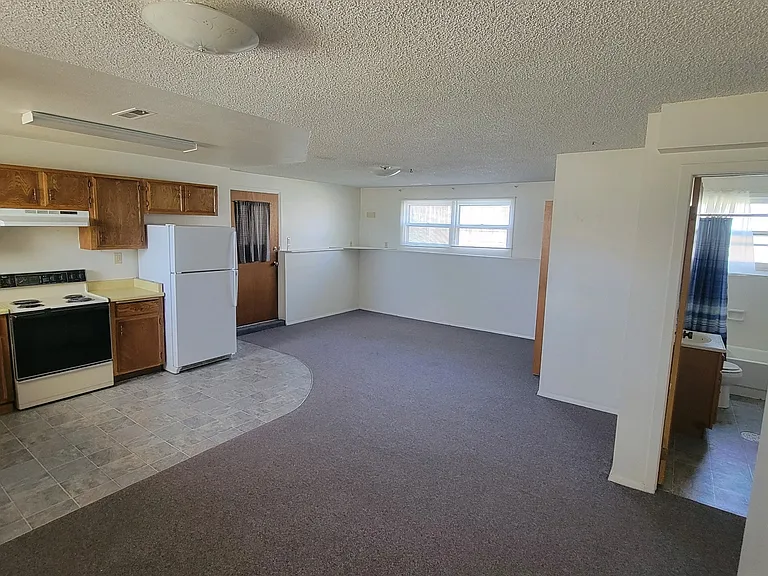 Living area and kitchen.