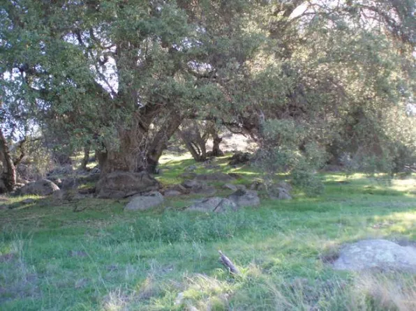 20357 Highway 76, Pauma Valley, CA 92061